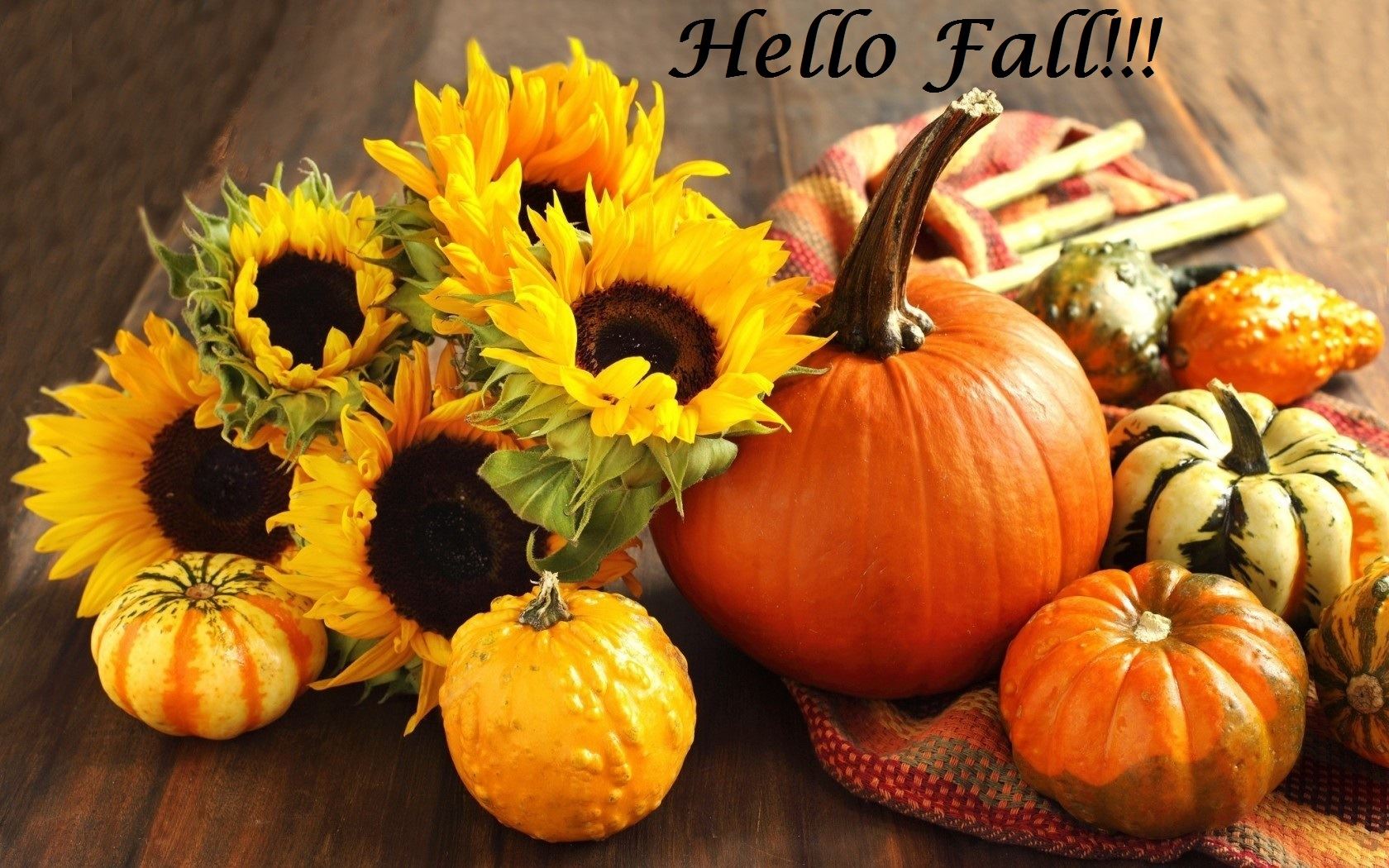 Hello Fall