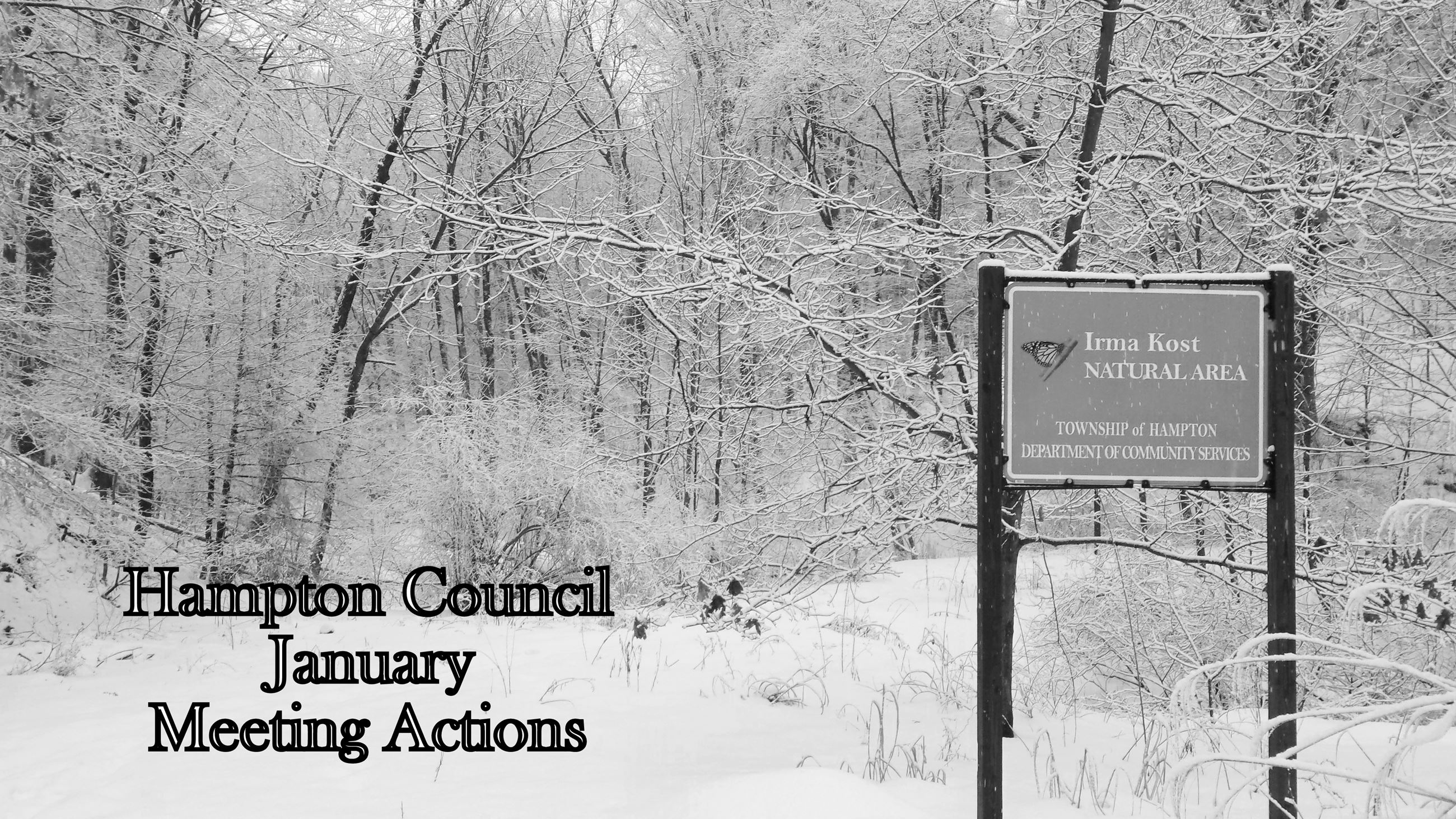 Council January Actions