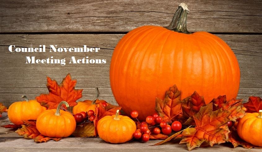 Council November actions 2