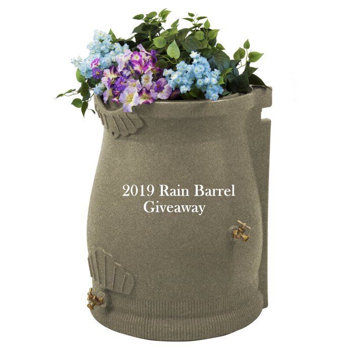 Rain barrel - 2019