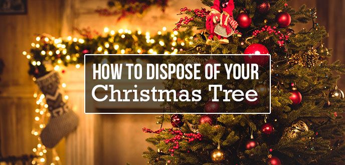 how-to-dispose-of-christmas-tree